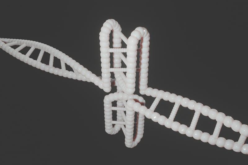 DNA double helix